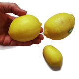 Lemon (Large) Silicone Mould