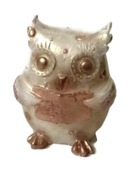 Owl Reading Silicone Mould
