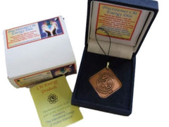 Practitioner Chi Energy Disc
