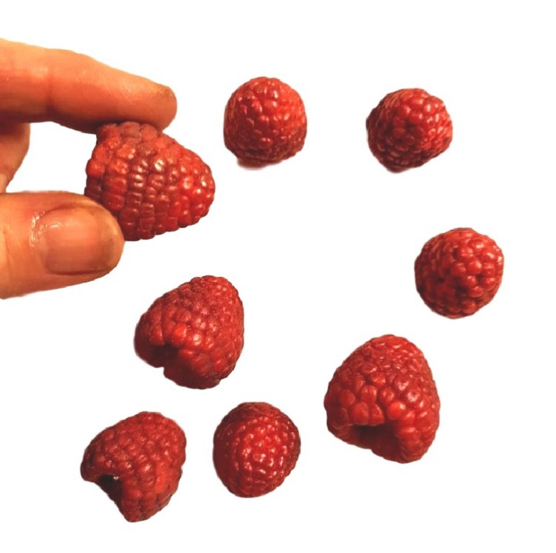 Raspberry Jar Guest Soap Bars
