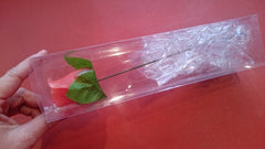 Rose Leaf Stem, Wire