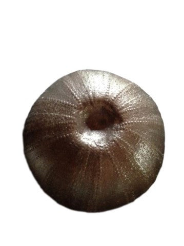 Sea Urchin (Large) Silicone Mould