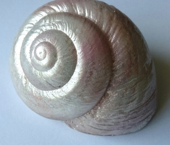 Shell Large Silicone Mould