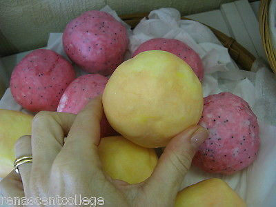 Soap Dough Kit