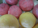 Soap Dough Kit