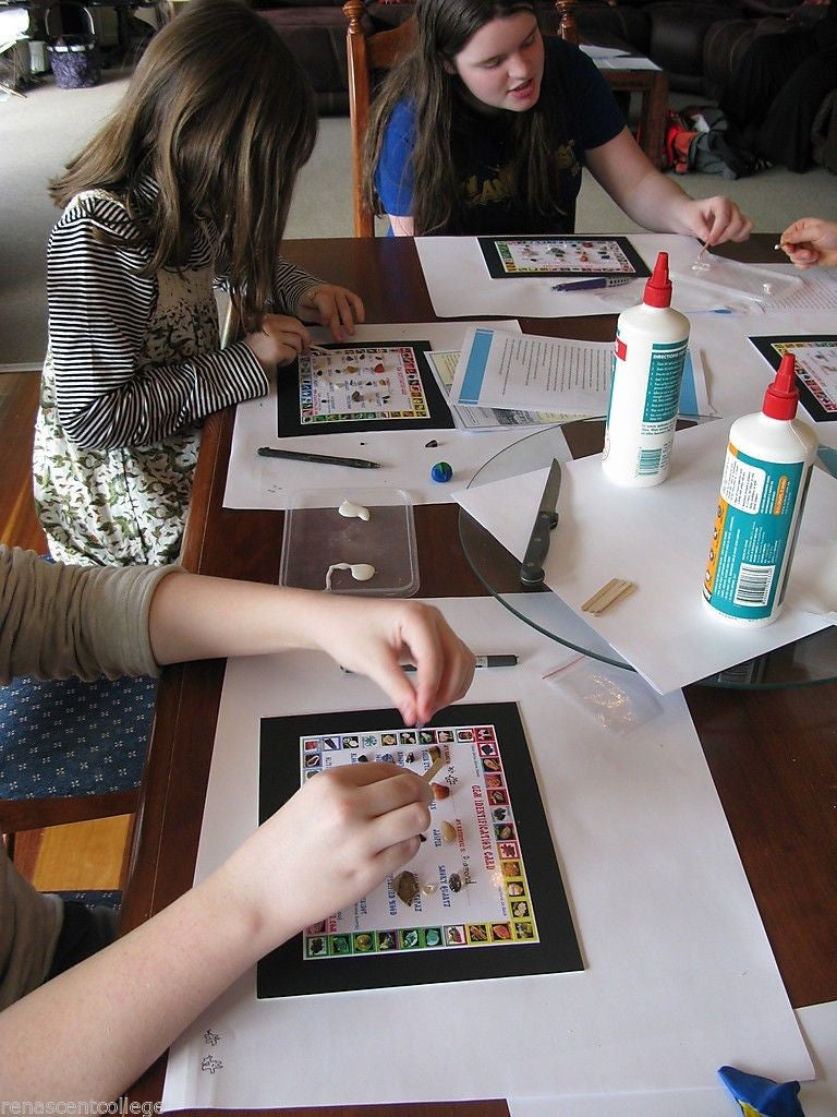Gemstone Identification DIY Kit