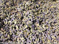 Lavender Flower Buds Dried