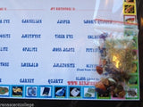 Gemstone Identification DIY Kit