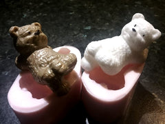 Teddy Relax Silicone Mould