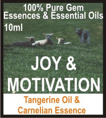 Joy Essence Oil (Tangerine, Carnelian)